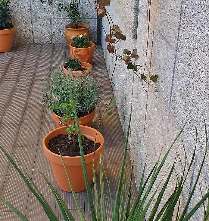 Apartman O Terraco Florido