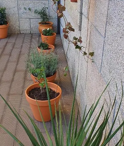 Apartamento O Terraço Florido