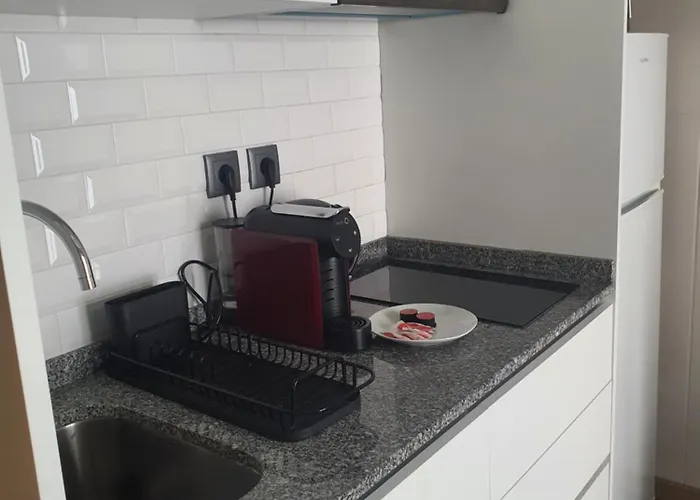Apartamento O Terraço Florido Viseu